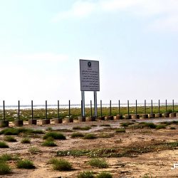 King Abdulaziz Reserve