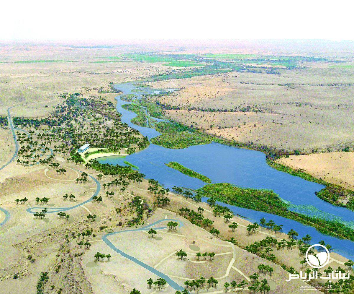 Al-Hayer wetland reserve
